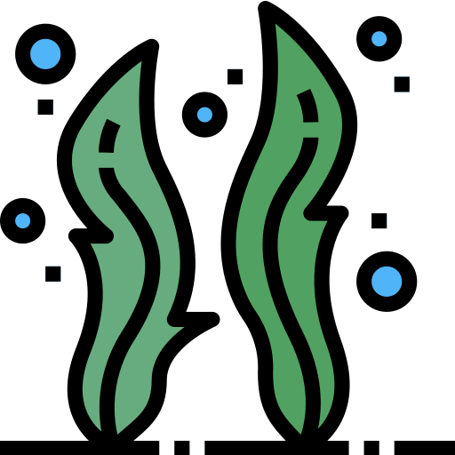 海藻 Smalllikeart Lineal Color icon