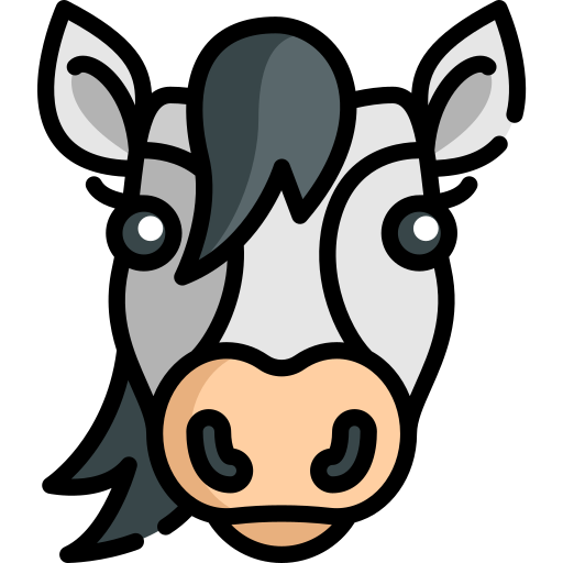 pferd Special Lineal color icon