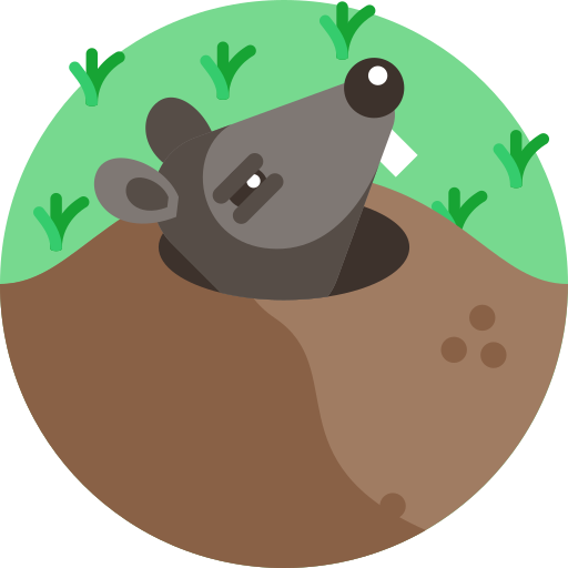 Mole Detailed Flat Circular Flat icon
