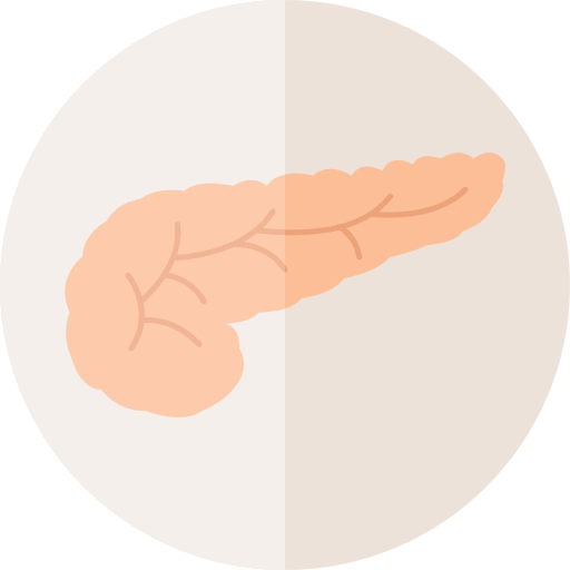 pancreas  icona