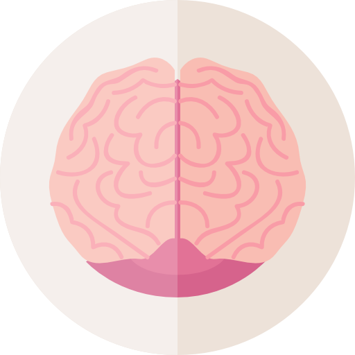 Мозг  иконка