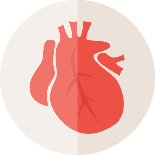 心臓  icon