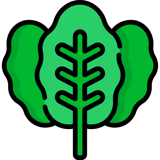 spinaci Kawaii Lineal color icona