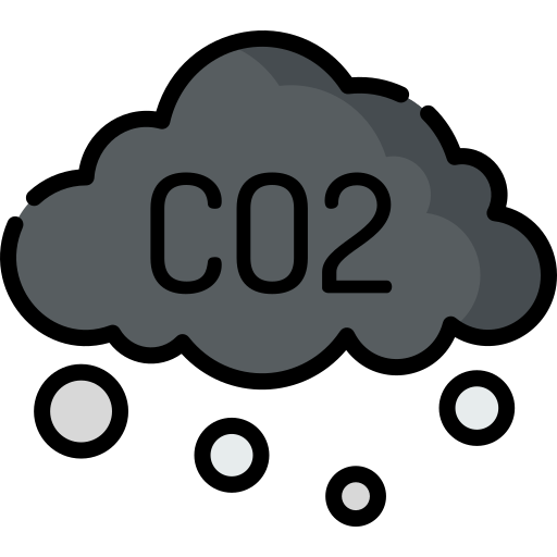 Co2 Special Lineal color icon