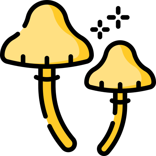 champignon Special Lineal color Icône