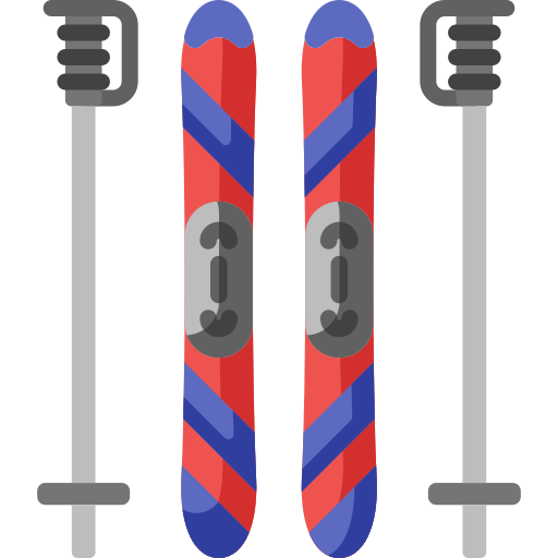 Skiing Special Flat icon