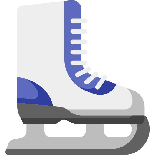 Ice skating Special Flat icon