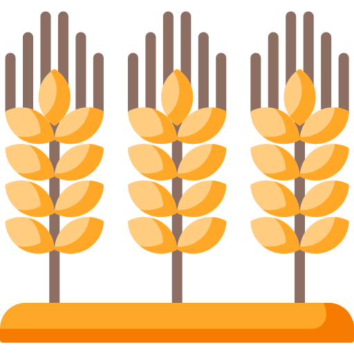 Wheat Special Flat icon