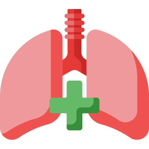 Lungs Special Flat icon