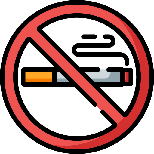 No fumar Special Lineal color icono