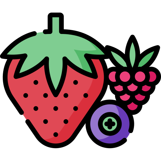 Berries Special Lineal color icon