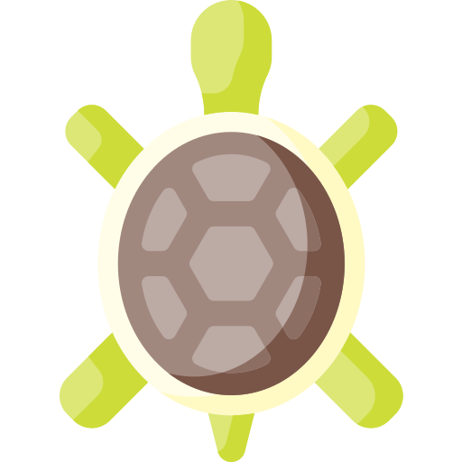 Turtle Special Flat icon