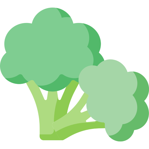 Broccoli Special Flat icon
