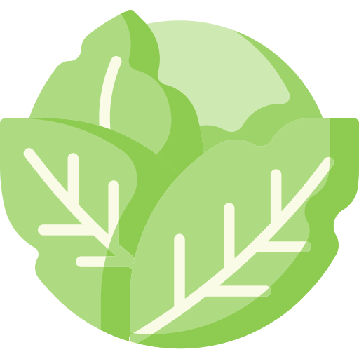 Cabbage Special Flat icon