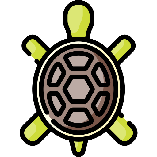 Turtle Special Lineal color icon