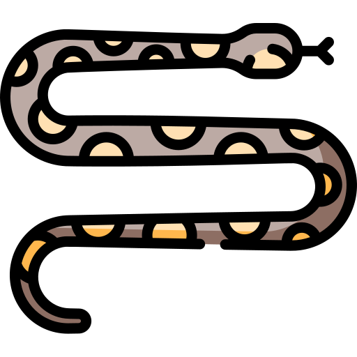 wąż Special Lineal color ikona