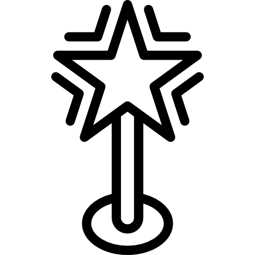 gwiazda Detailed Rounded Lineal ikona