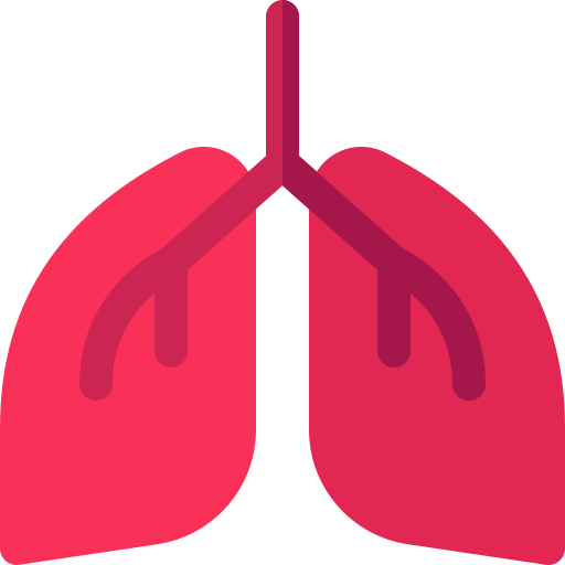 Lung Basic Rounded Flat icon
