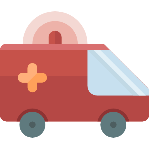 ambulance Special Flat Icône