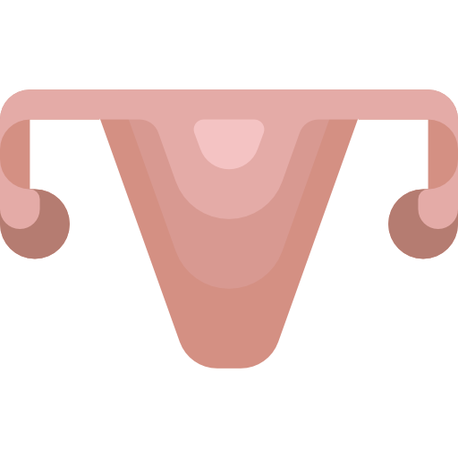 utérus Special Flat Icône