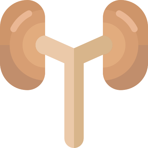 Urology Special Flat icon