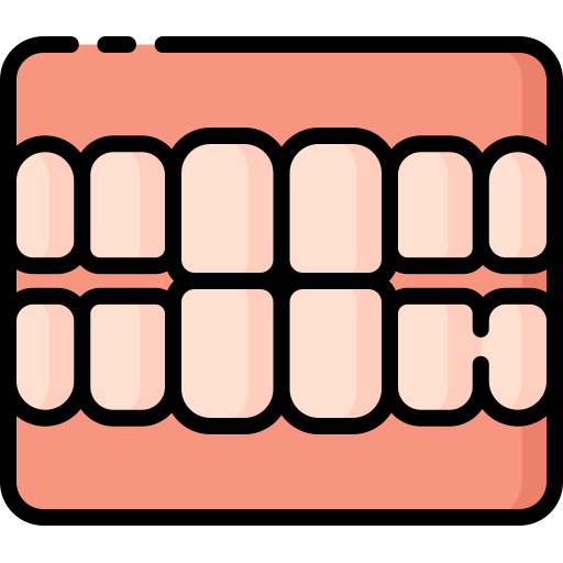 schimmel Special Lineal color icon