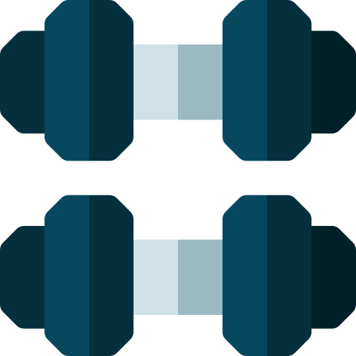 Dumbbell Basic Rounded Flat icon