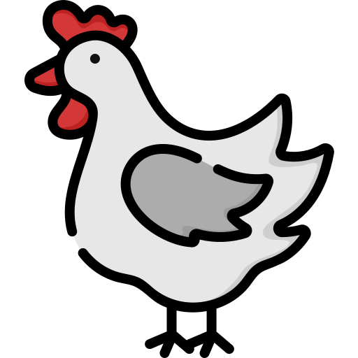 Rooster Special Lineal color icon
