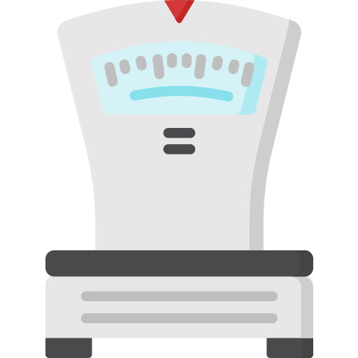 Kitchen scale Special Flat icon