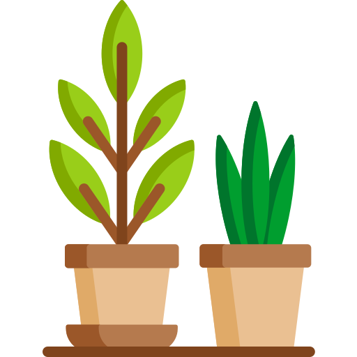 pflanzen Special Flat icon