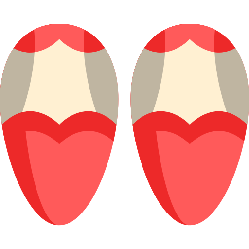 Babuchas Special Flat icono