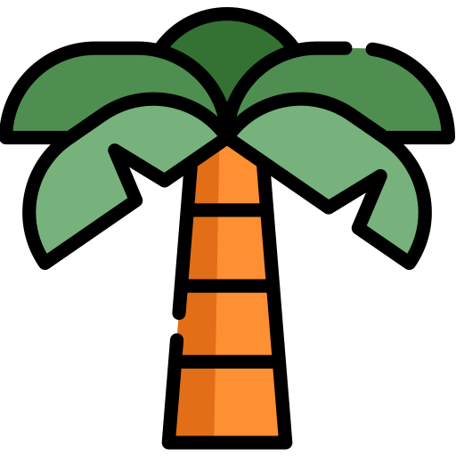 Palmeira Special Lineal color Ícone