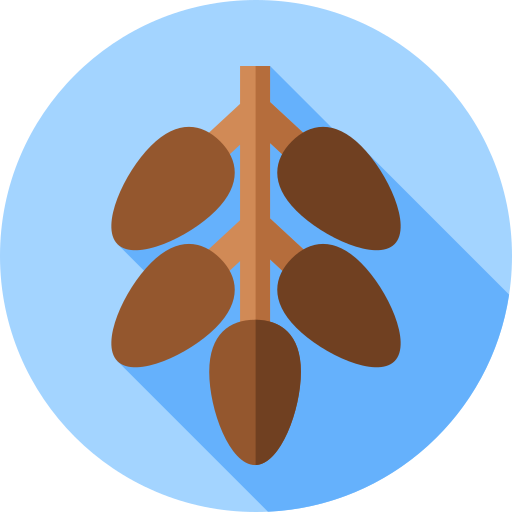 Fechas Flat Circular Flat icono