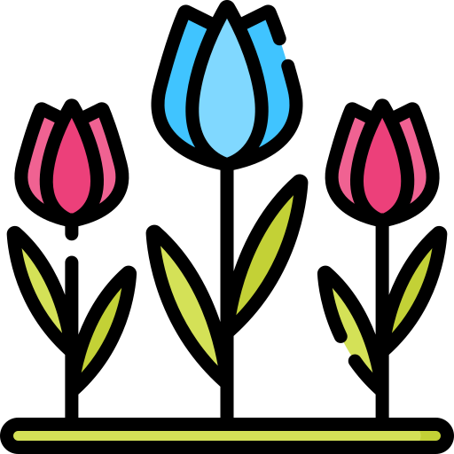 tulpen Special Lineal color icon