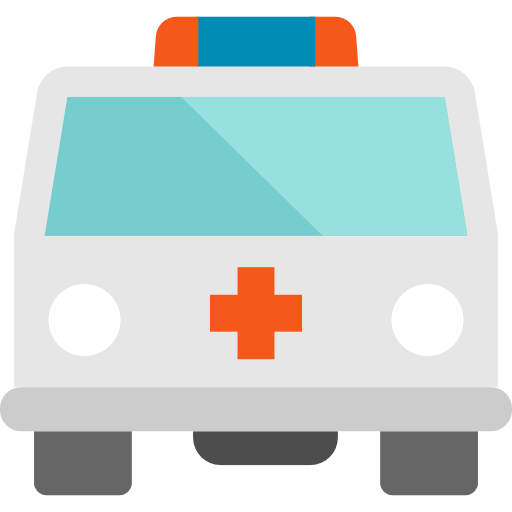 ambulância Special Flat Ícone