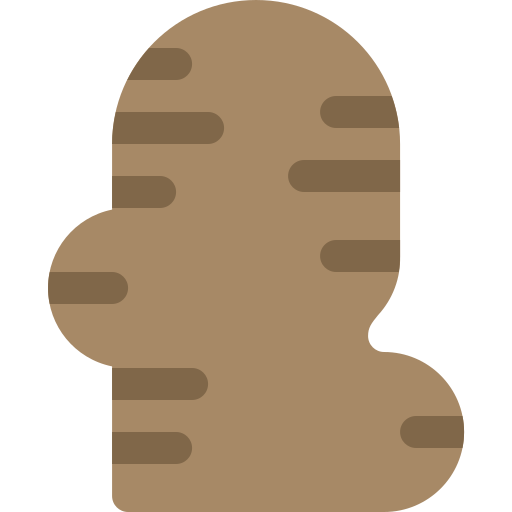 Ginger Berkahicon Flat icon