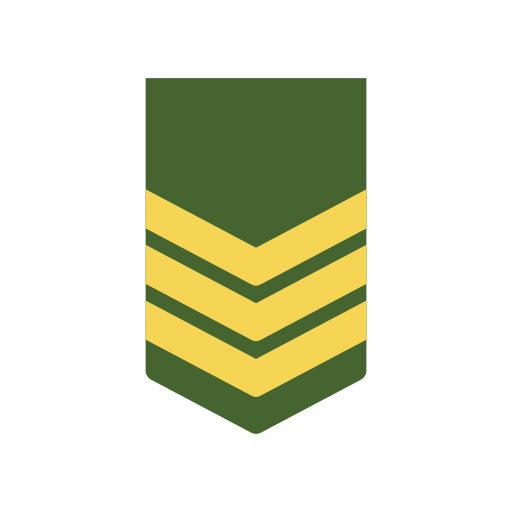 insignia de rango Generic color fill icono
