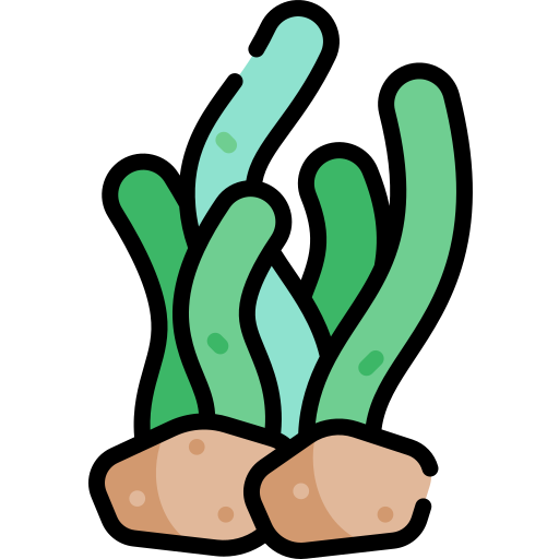 Seaweed Kawaii Lineal color icon