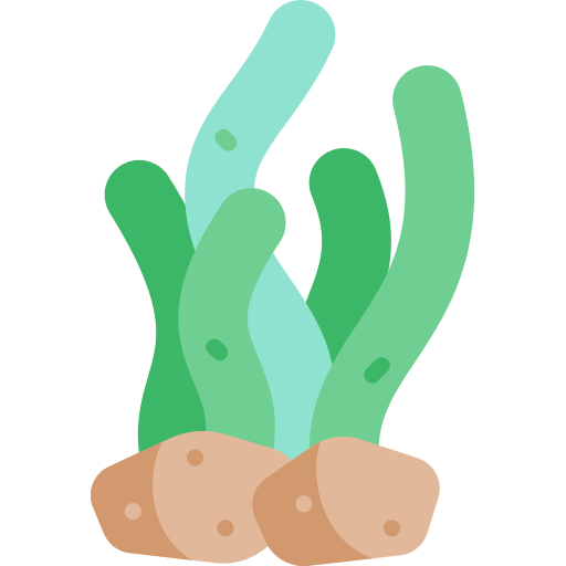 海藻 Kawaii Flat icon
