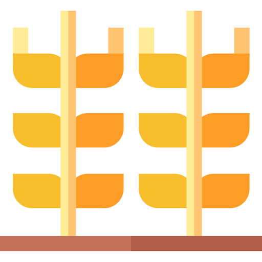 オオムギ Basic Straight Flat icon