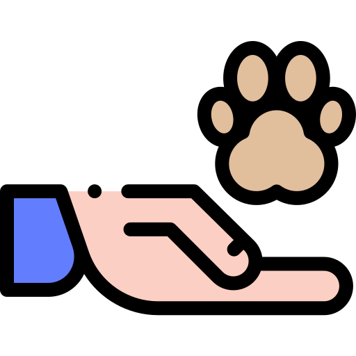 動物 Detailed Rounded Lineal color icon