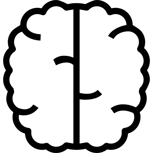 cerebro Detailed Straight Lineal icono