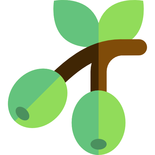 oliven Basic Straight Flat icon