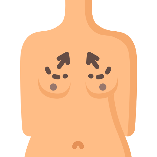 Anatomia Special Flat Ícone