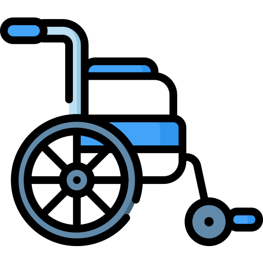 Disabled Special Lineal color icon