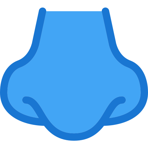 Nariz Deemak Daksina Blue icono