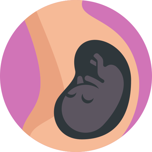 Pregnancy Detailed Flat Circular Flat icon