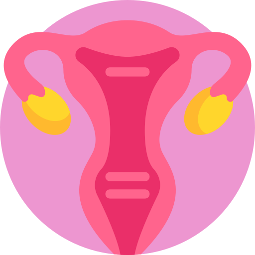 Uterus Detailed Flat Circular Flat icon