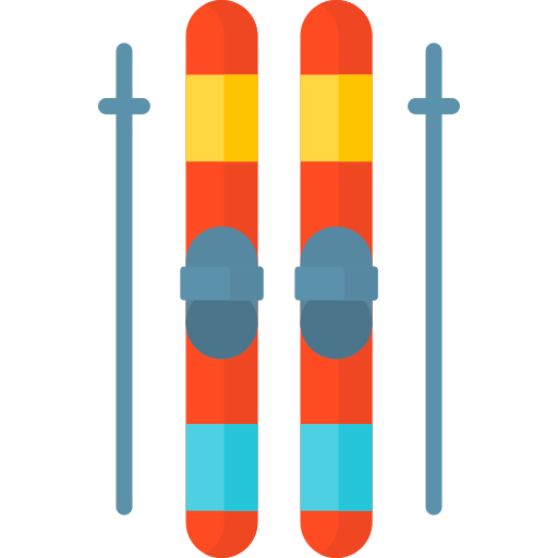 Лыжи Special Flat иконка