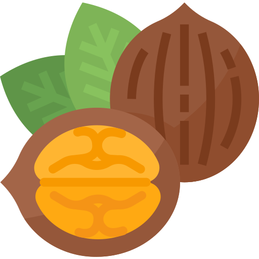 Walnut Aphiradee (monkik) Flat icon
